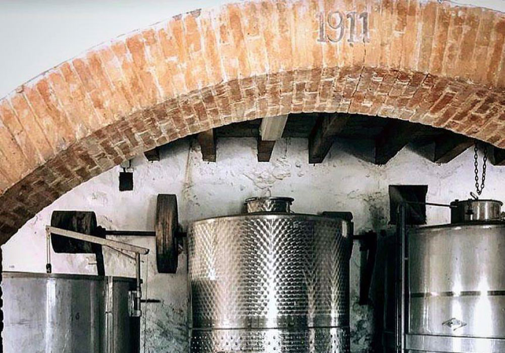 vega-de-ribes-celler