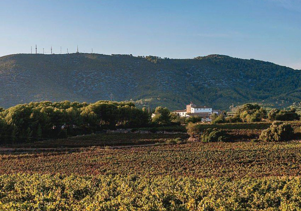 vega-de-ribes-familia