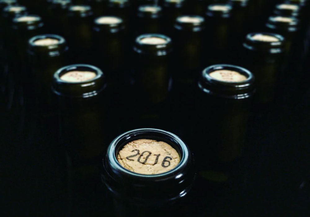 vega-de-ribes-vins